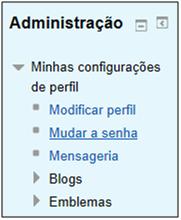 Janela expandida do menu Administração